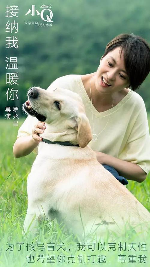 作假玛卡莱斯特学院毕业证